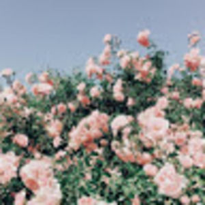 Meet your Posher, Thy